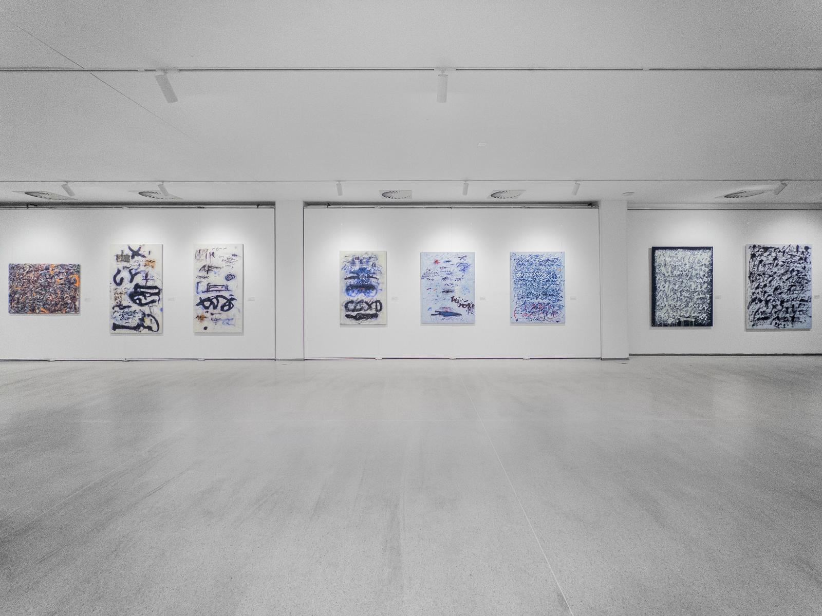 Anima Mundi paintings installed across the main gallery