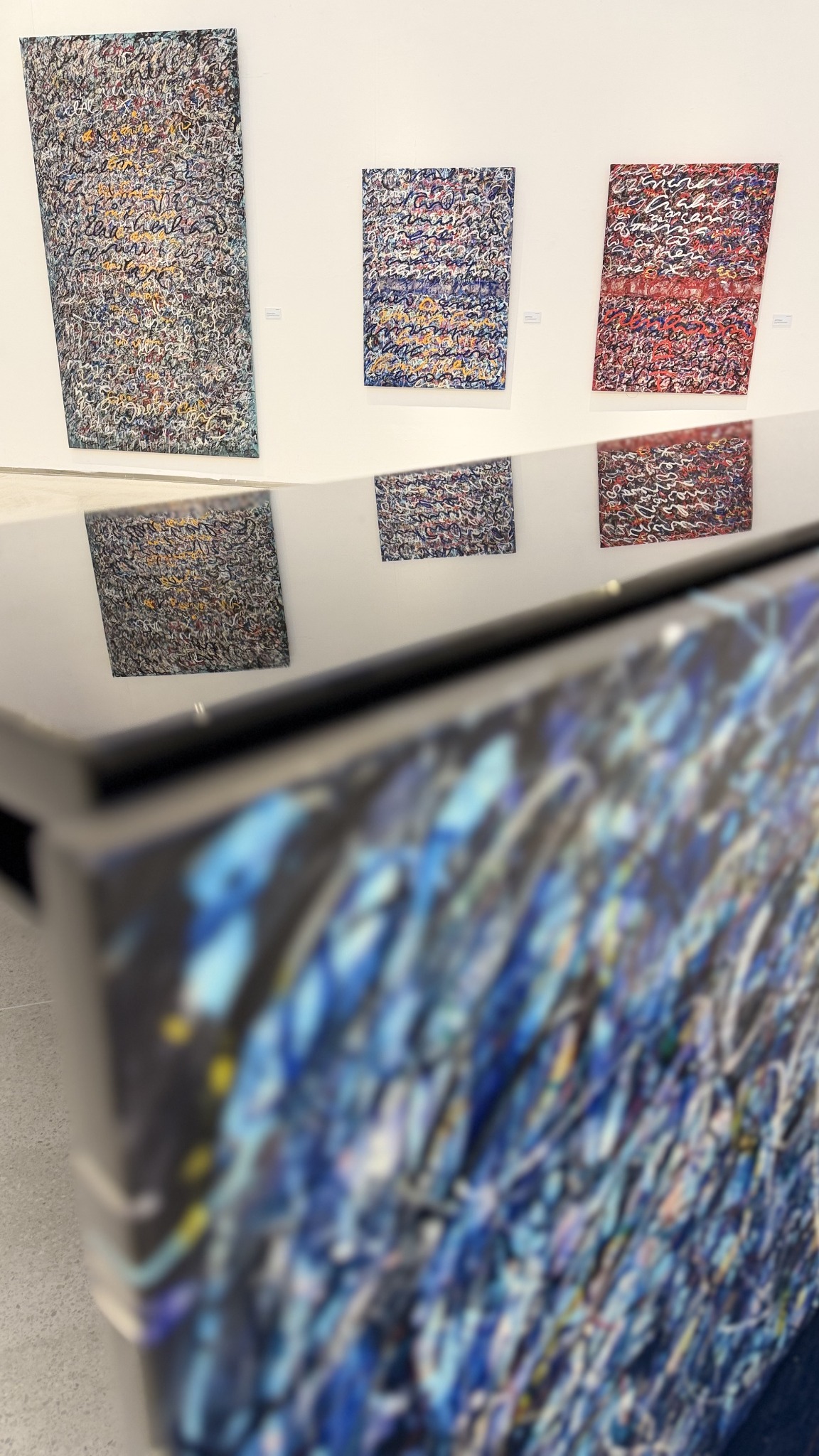 Anima Mundi reflected in the piano lid