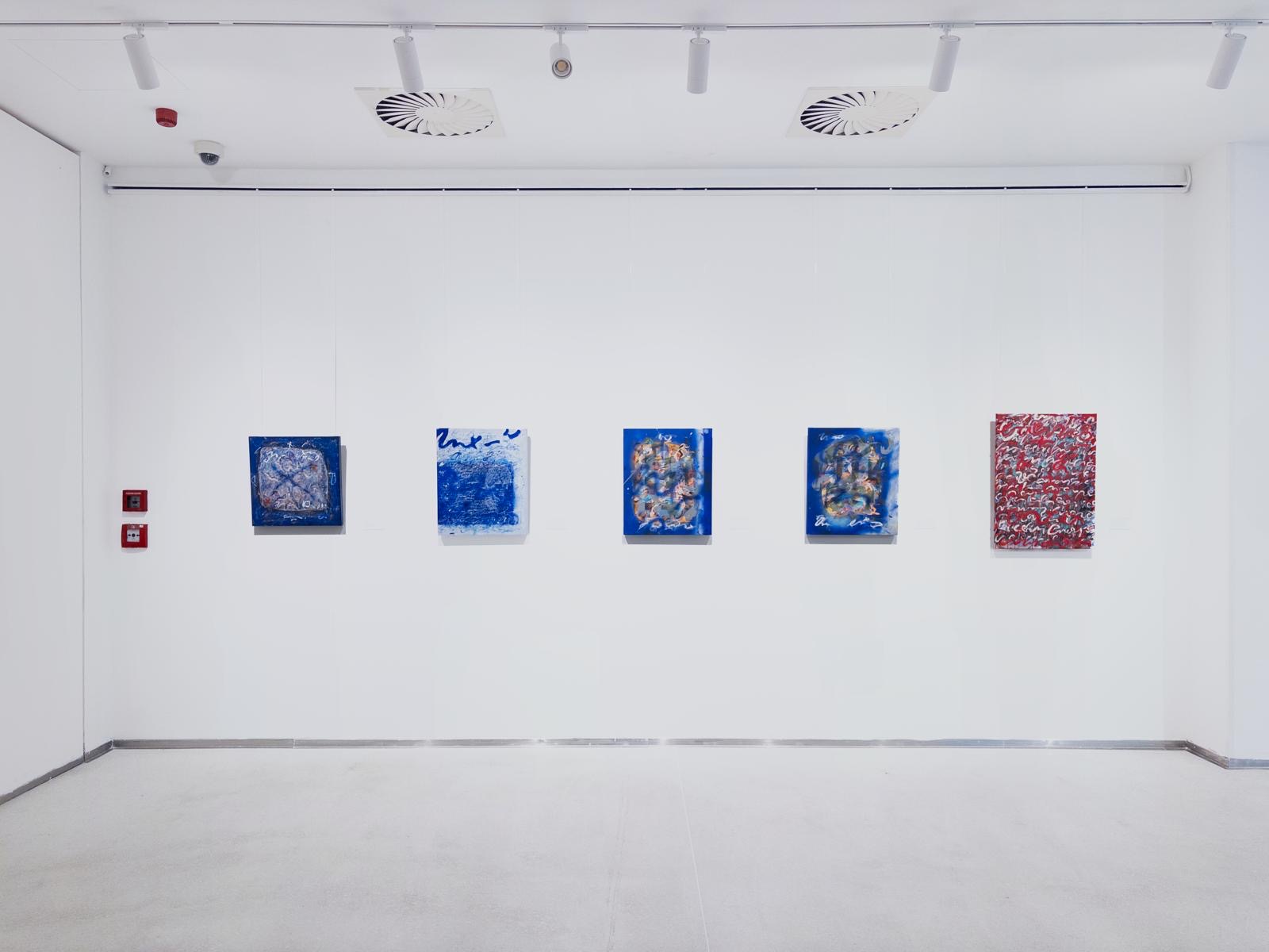 A group of smaller Anima Mundi works installed at Galerie Mánes